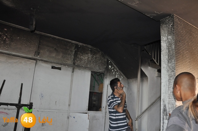 fireshekonatelarab (24).JPG